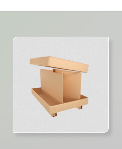 Sample Brown Box